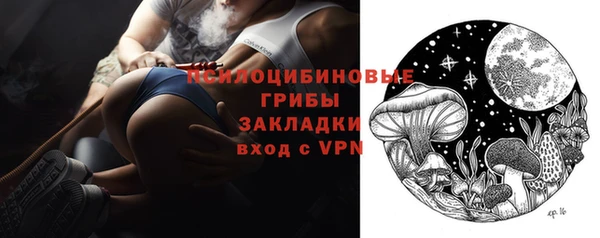 PSILOCYBIN Горно-Алтайск