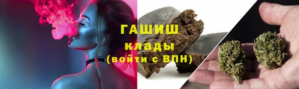 PSILOCYBIN Горно-Алтайск