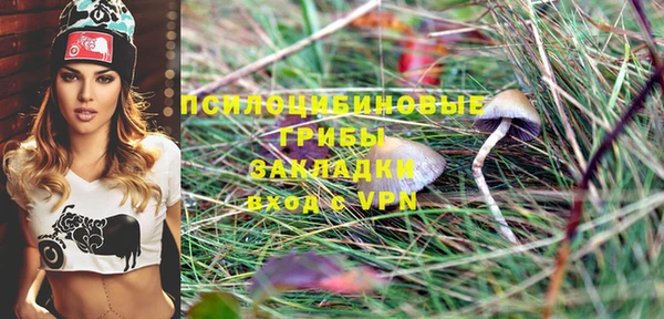 PSILOCYBIN Горно-Алтайск